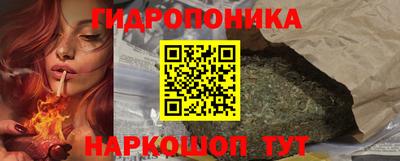 ГАЛЛЮЦИНОГЕННЫЕ ГРИБЫ Кингисепп