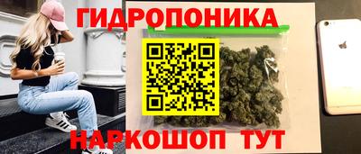гашик Кимры