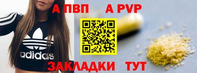 ГАЛЛЮЦИНОГЕННЫЕ ГРИБЫ Кингисепп