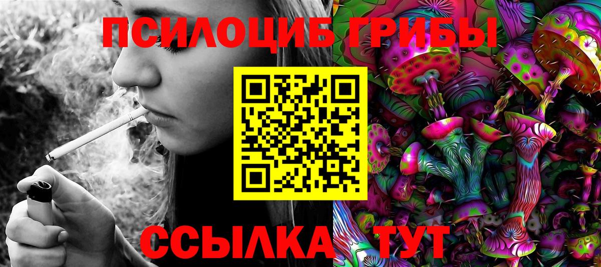 Галлюциногенные грибы Psilocybe Крымск